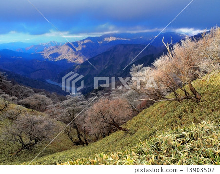 Morning glow ice Morning glow ice 13903502