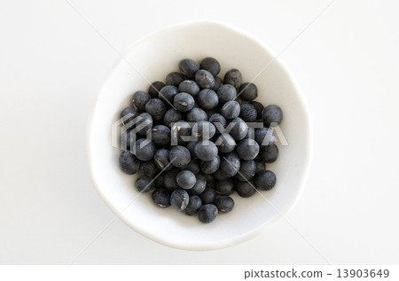 Black bean  13903649