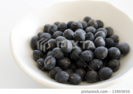 Black bean  13903650