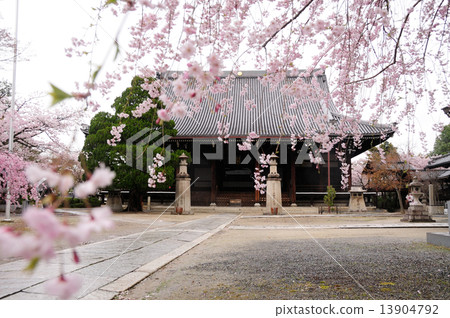 Shogendo temple approach and main hall 13904792