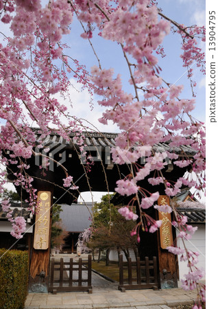 Myokoji Sanmen Myokoji Sanmen 13904795