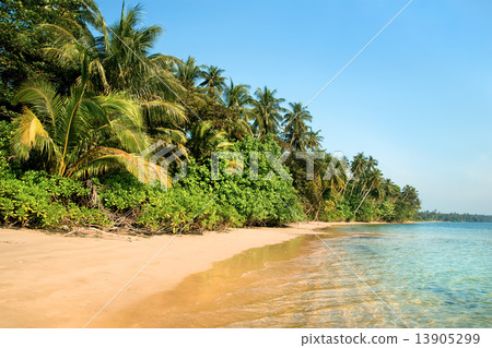 Tropical Island Landscape 13905299