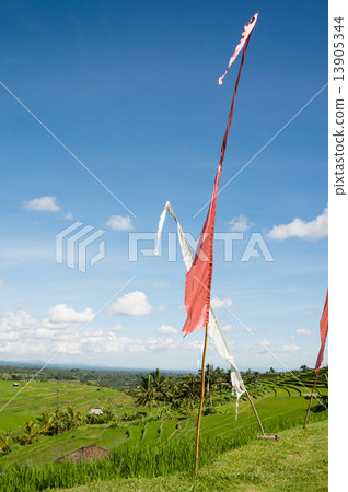 Jatilui水稻梯田和陵墓 Jatilui水稻梯田和陵墓 13905344