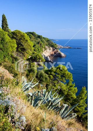 Adriatic Sea Coastline Adriatic Sea Coastline 13905974