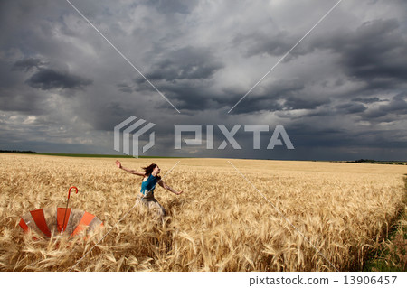 Girl with umbrella at field. Girl with umbrella at field. 13906457