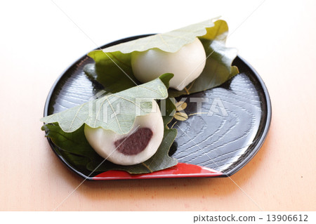 Kashiwamochi Kashiwamochi 13906612