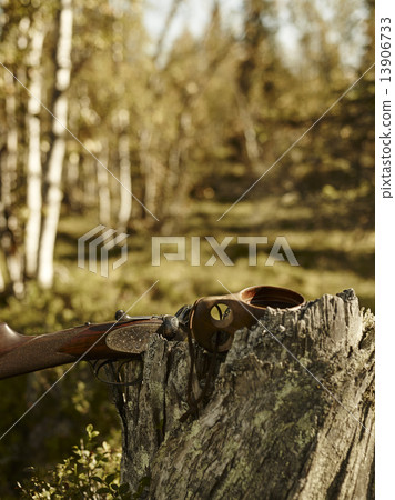 Shotgun and guksi Shotgun and guksi 13906733