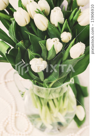 bouquet of white tulips bouquet of white tulips 13906910