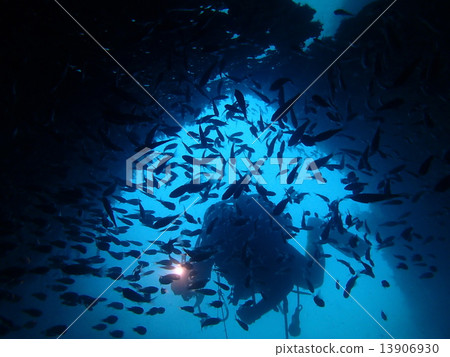 Cave Expedition Diving 13906930