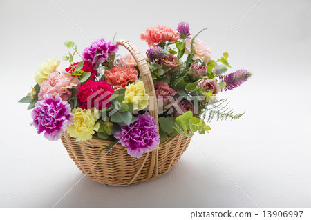 Carnation flower basket 13906997