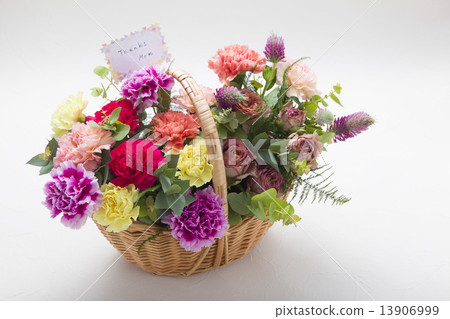 Carnation flower basket and message card Carnation flower basket and message card 13906999