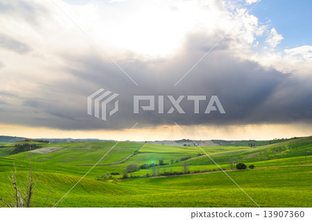 Toscana Toscana 13907360