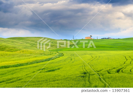 Toscana Toscana 13907361