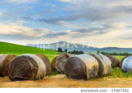 Toscana Toscana 13907362