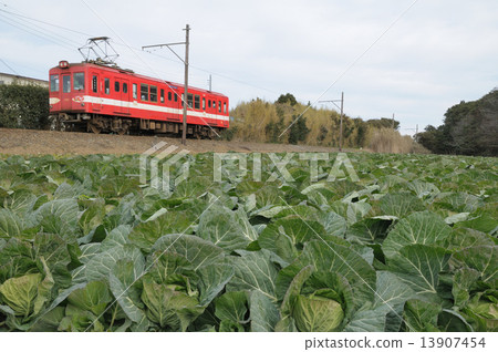 Choshi going cabbage fields A red train of electric railways _ 1 13907454