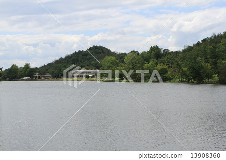 兵庫縣花卉中心龜之倉池 13908360