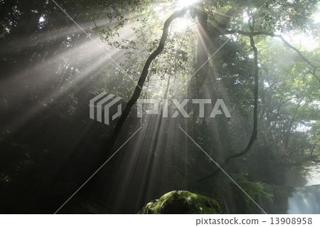 Light beam Light beam 13908958