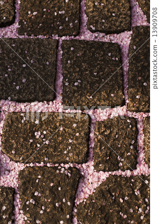 Cherry blossom petals and cobblestone 13909708