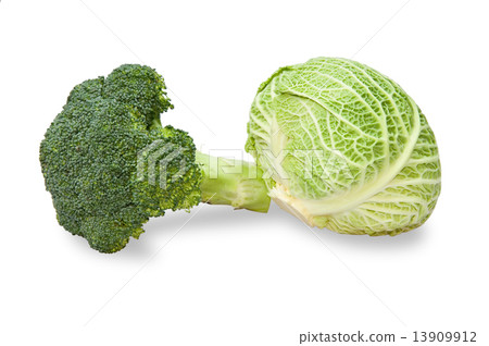 Savoy Cabbage and broccoli 13909912