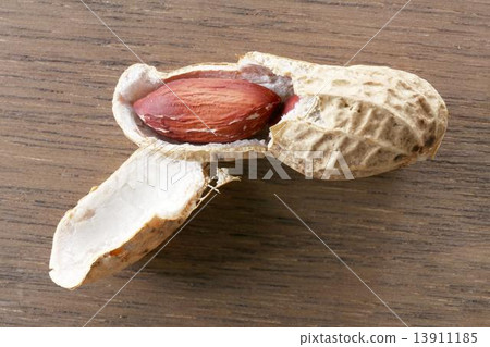 peanuts peanuts 13911185