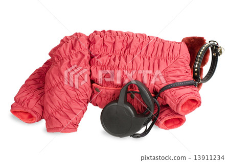 Winter clothing and leash for dog. Winter clothing and leash for dog. 13911234