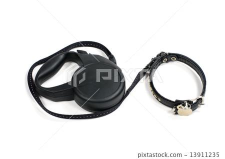 Collar   for   a dog 13911235