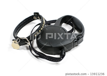 Collar for a dog 13911236