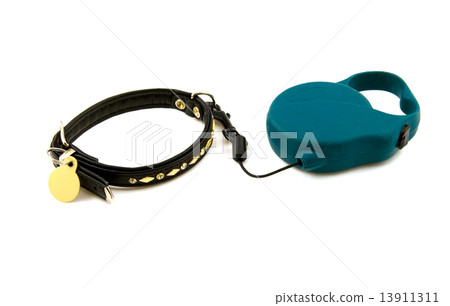 Collar for a dog 13911311