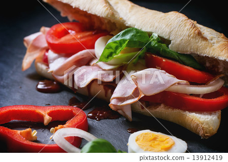 Sandwich 13912419