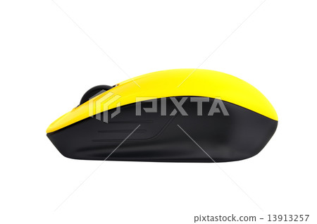 wireless mouse 13913257