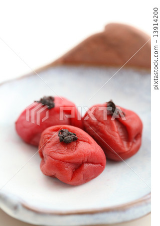 咸梅 咸梅 13914200