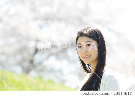櫻花和清爽的女人 櫻花和清爽的女人 13914617