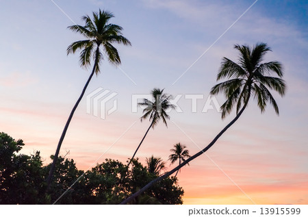 Tropical Sunset in Moorea, French Polynesia 13915599
