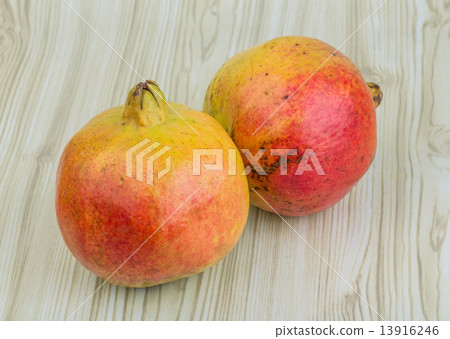 Yellow Pomegranet Yellow Pomegranet 13916246