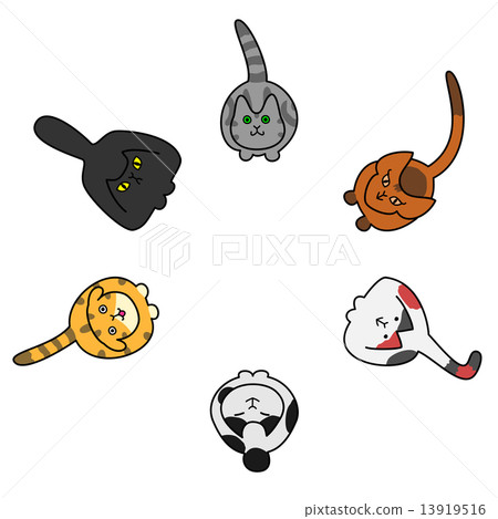 Cats looking up Copy space 13919516