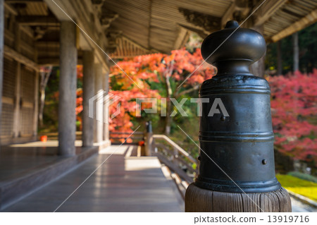 Kyoto Kaseiin 13919716