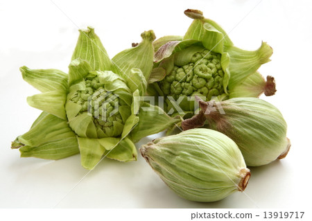 Fukinoto Fukinoto 13919717