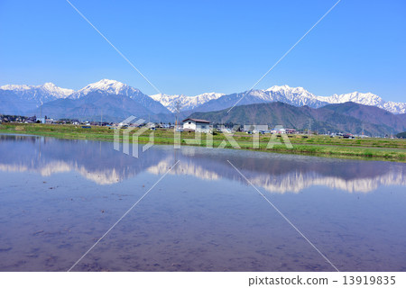 初夏的鄉村景觀 初夏的鄉村景觀 13919835