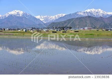 初夏的鄉村景觀 初夏的鄉村景觀 13919836
