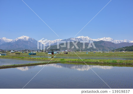 初夏的鄉村景觀 初夏的鄉村景觀 13919837
