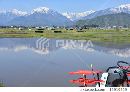 初夏的鄉村景觀 初夏的鄉村景觀 13919839