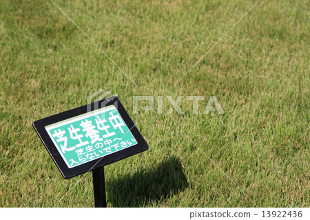 Hyogo Prefectural Flower Center 13922436