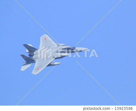 戰鬥機 老鷹 鷹 13923586