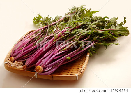 Red dark vegetable food white background Red dark vegetable food white background 13924384