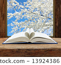 book heart shape page open window spring flowering cherry view 13924386