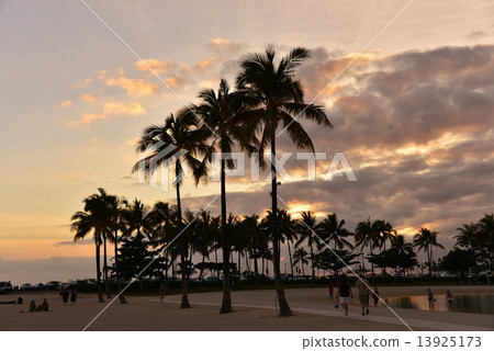 Holidays in Hawaii 13925173