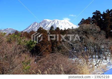 Kanjyu Crowned Snow Mountain 13925210