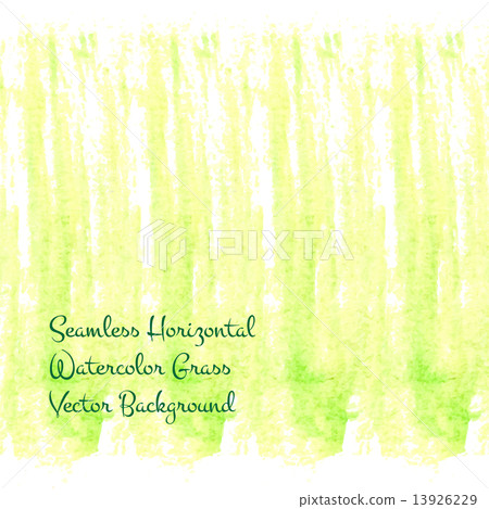 grass horizontal panorama grass horizontal panorama 13926229