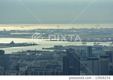 Sky Tree 2 Sky Tree 2 13926258