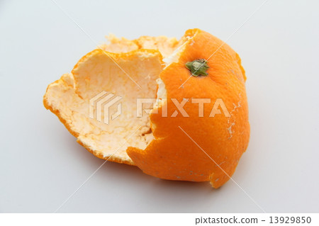 橘子皮 13929850